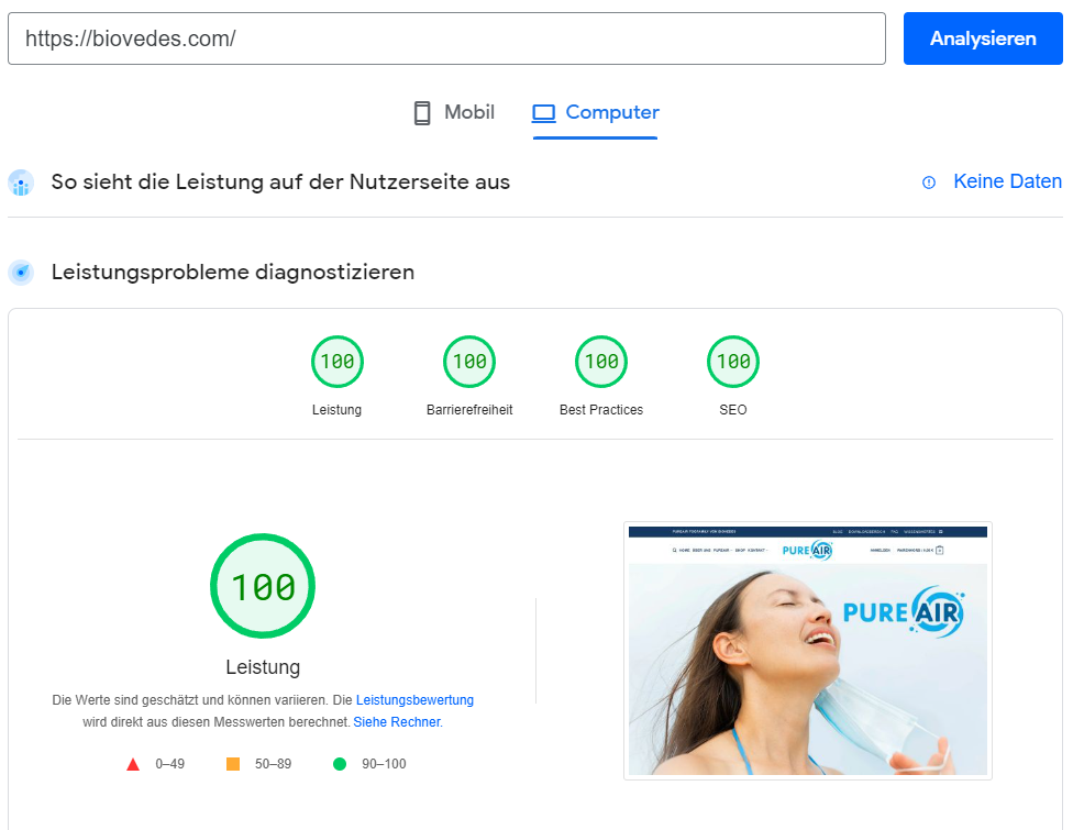 IT-Sicherheit 3 Biovedes.com Pagespeed Desktop