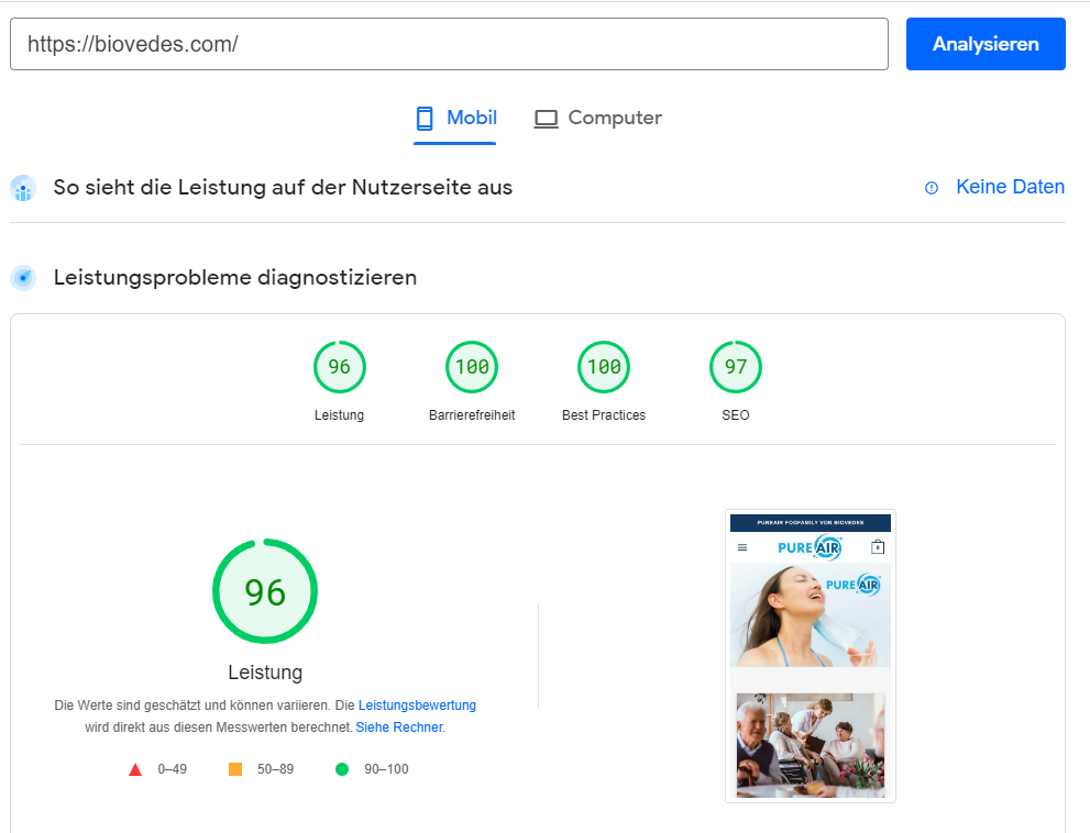 IT-Sicherheit 4 Biovedes.com Webseite2022 10 30 142134 pagespeed.google mobile