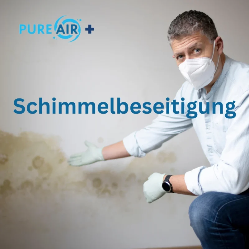 PureAir Schimmelbeseitigung 2 Schimmelbeseitigung